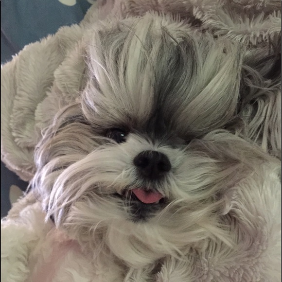 Meet your Posher, Pamela - Picture 1 of 3